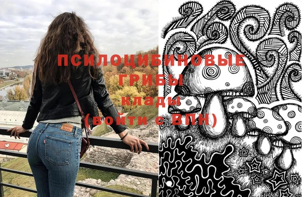ECSTASY Покров